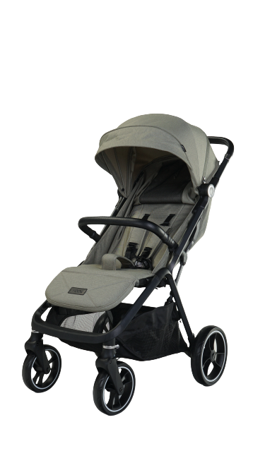 DSC00553-removebg-preview